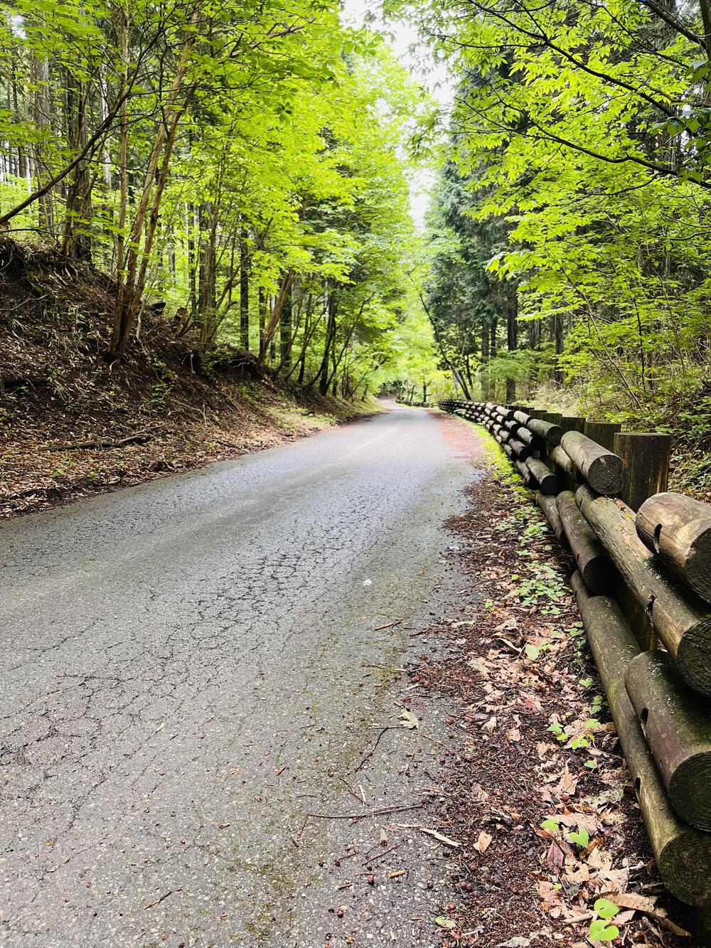芦ヶ久保駅〜県民の森まで峠走の写真9