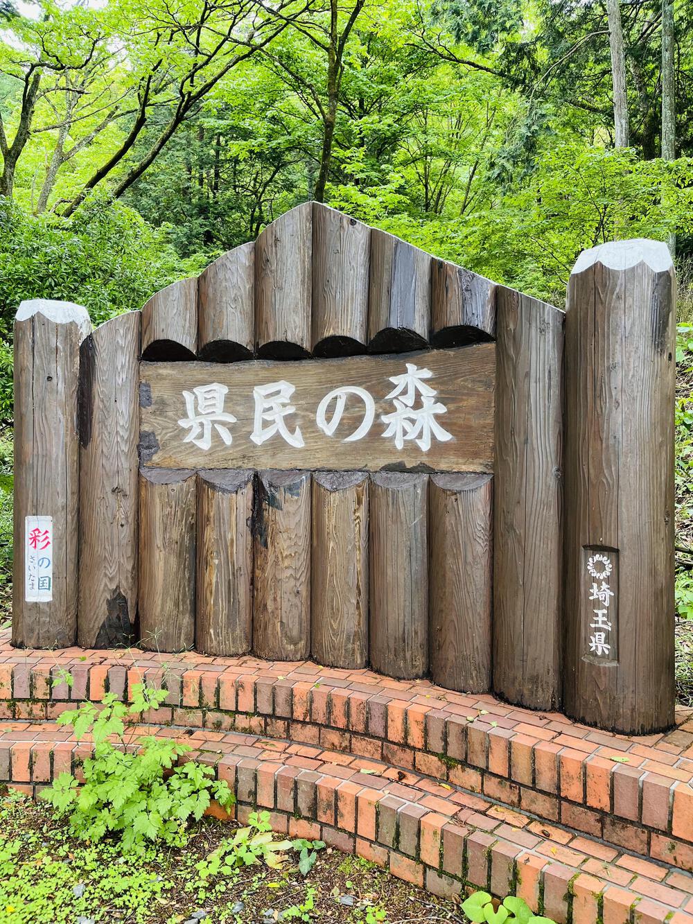 芦ヶ久保駅〜県民の森まで峠走の写真10
