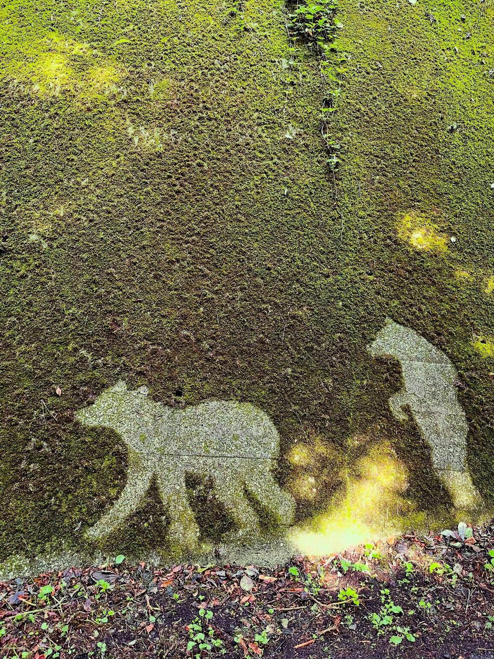 奥武蔵グリーンライン🌳🐿️苔アート🦌峠走の写真5