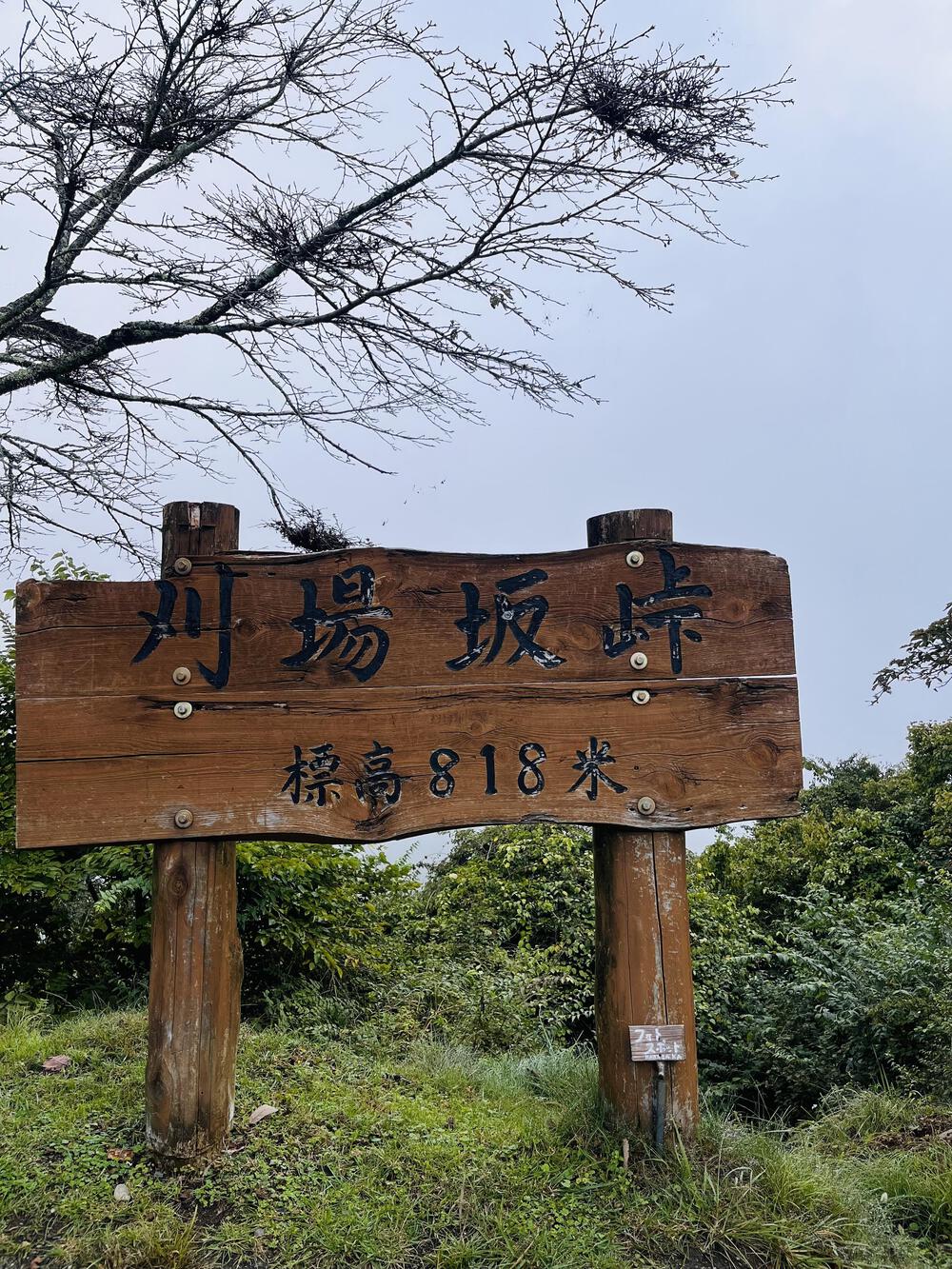 奥武蔵グリーンライン🌳🐿️苔アート🦌峠走の写真6