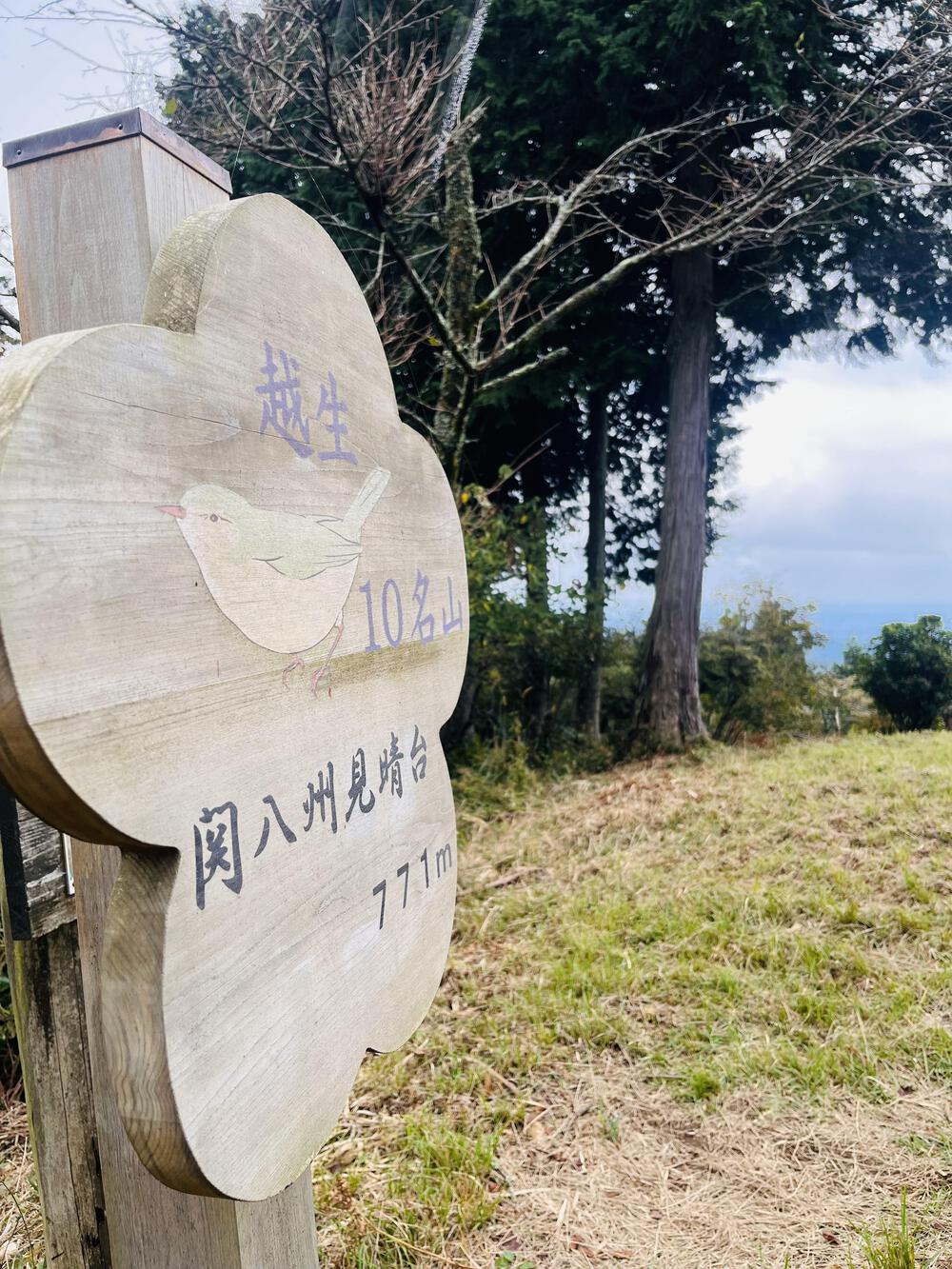 奥武蔵グリーンライン🌳🐿️苔アート🦌峠走の写真9