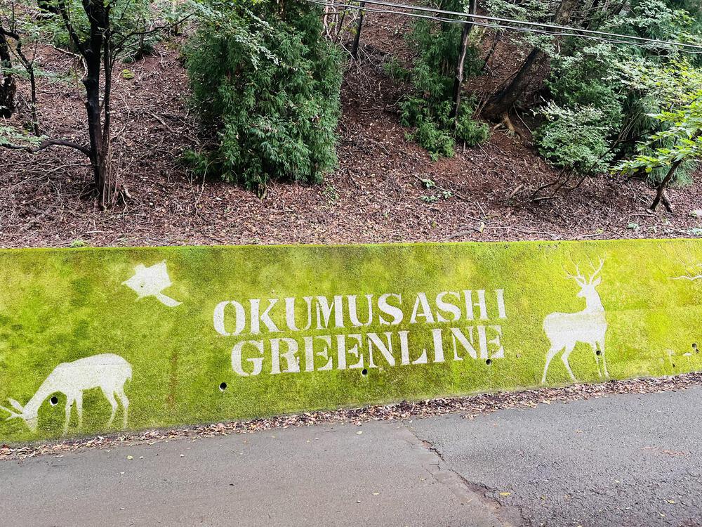 奥武蔵グリーンライン🌳🐿️苔アート🦌峠走の写真10