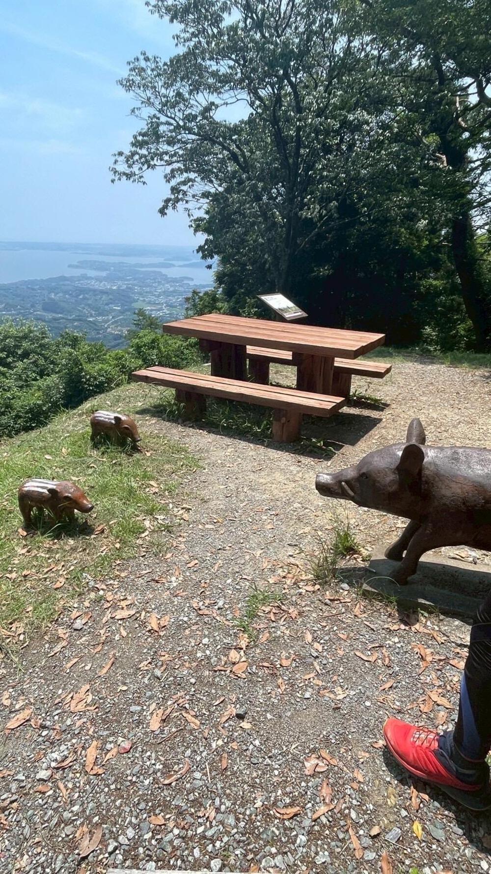 低山の尉ヶ峰登山ルートの写真3