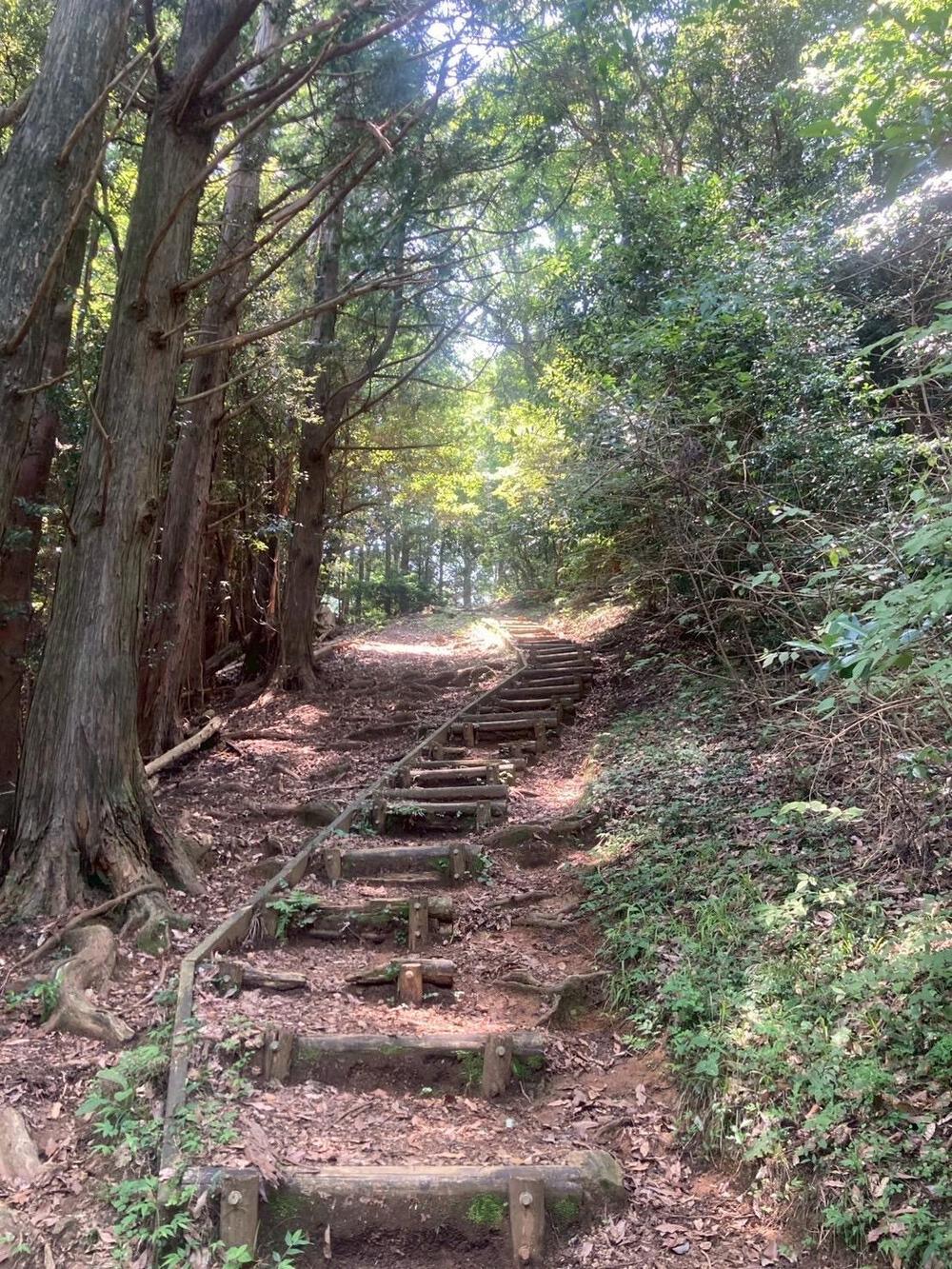 低山の尉ヶ峰登山ルートの写真5