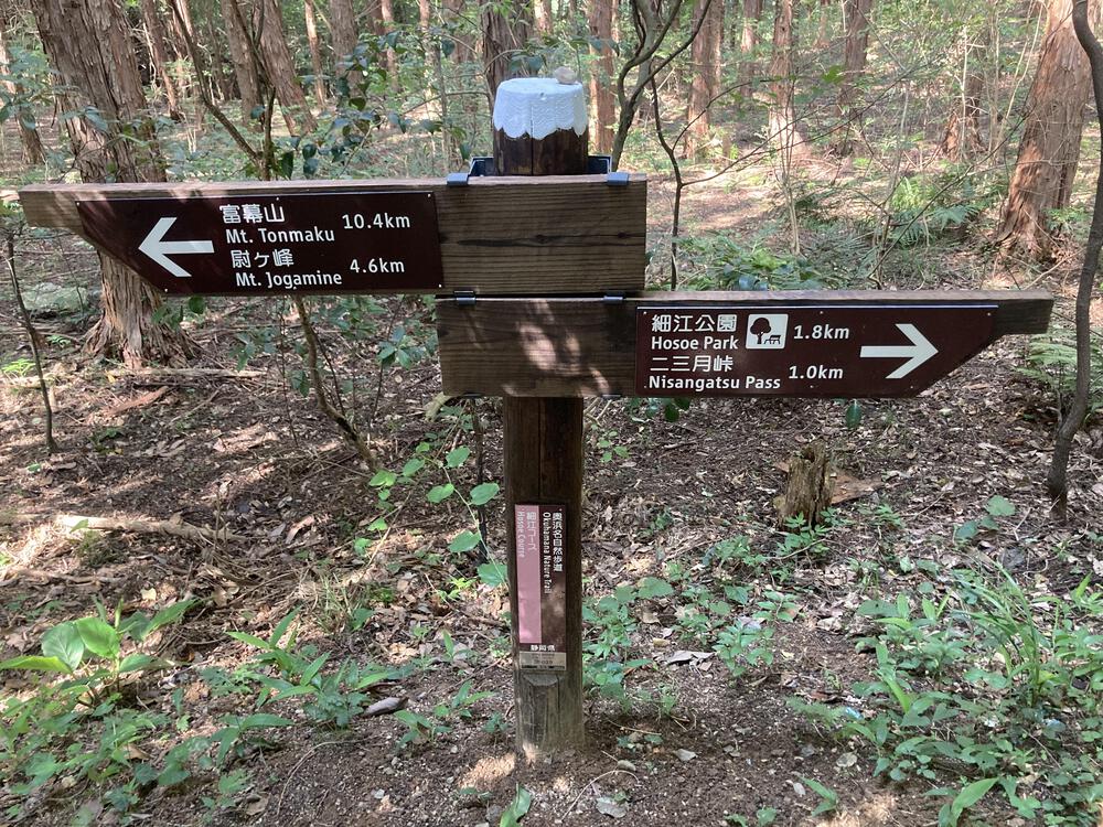 低山の尉ヶ峰登山ルートの写真7