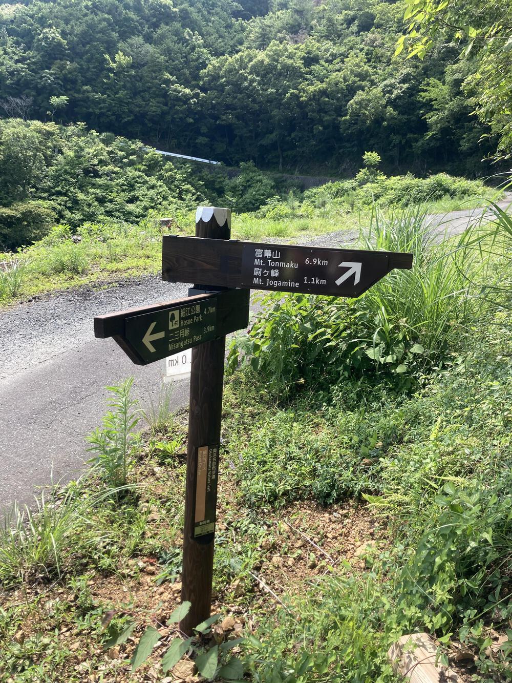 低山の尉ヶ峰登山ルートの写真8