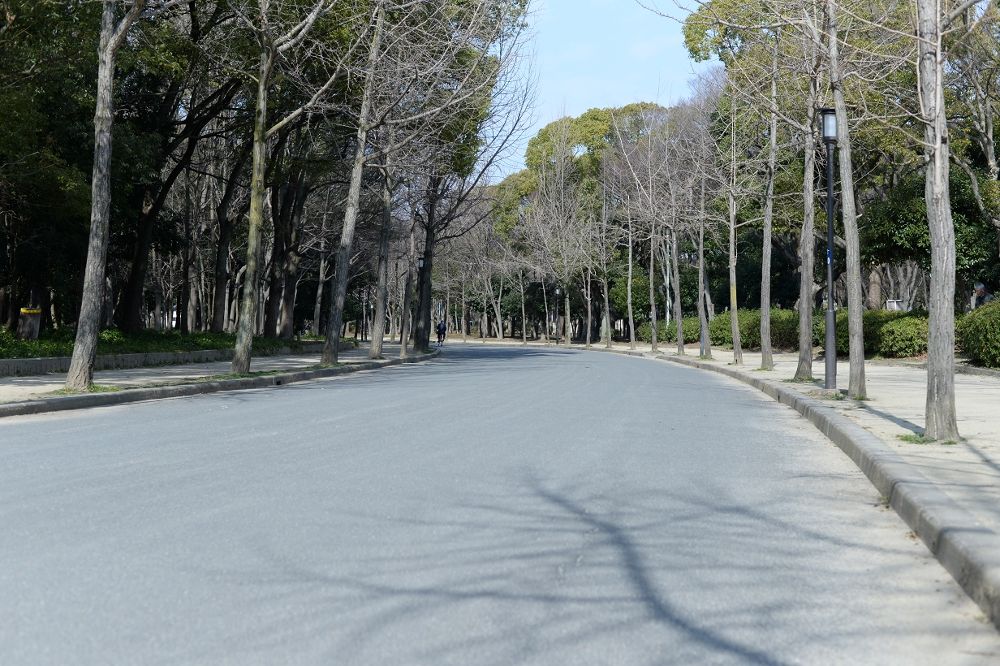 大阪城公園3.5km周回コースの写真3