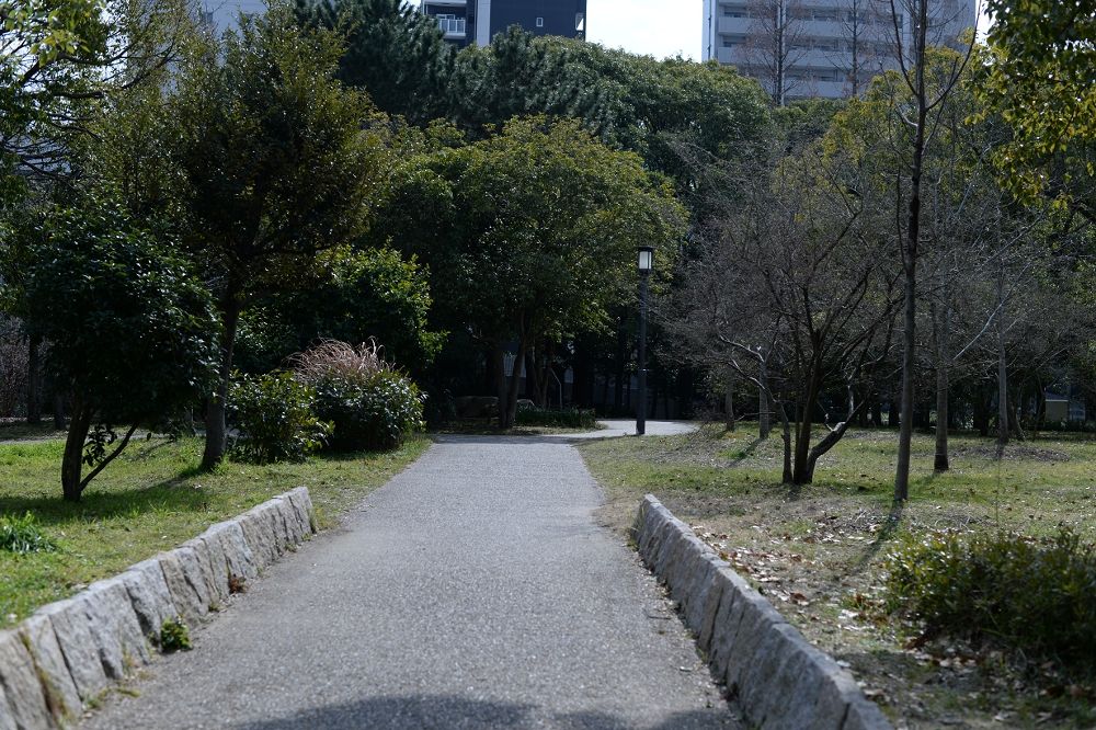 大阪城公園3.5km周回コースの写真5