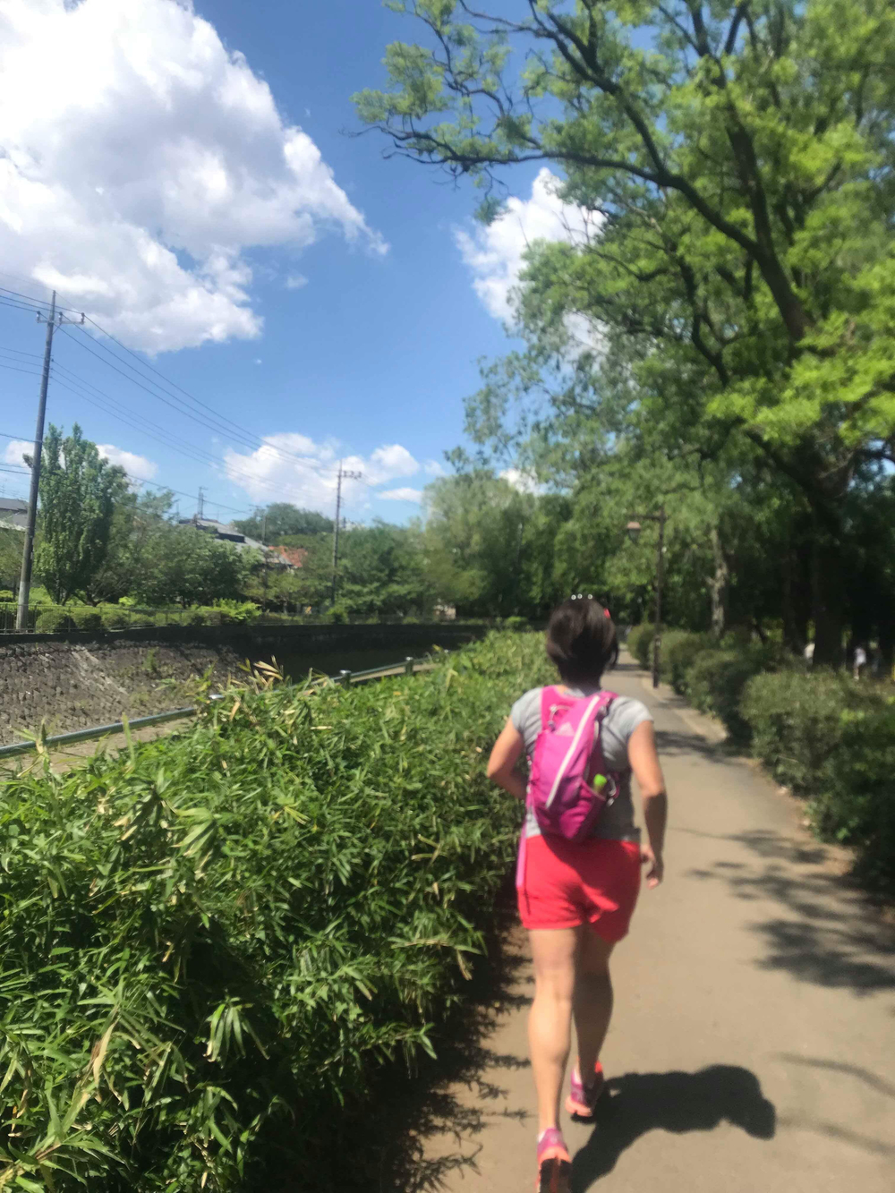 杉並区のパワースポットを巡るRun&Ice&Coffeeの写真6