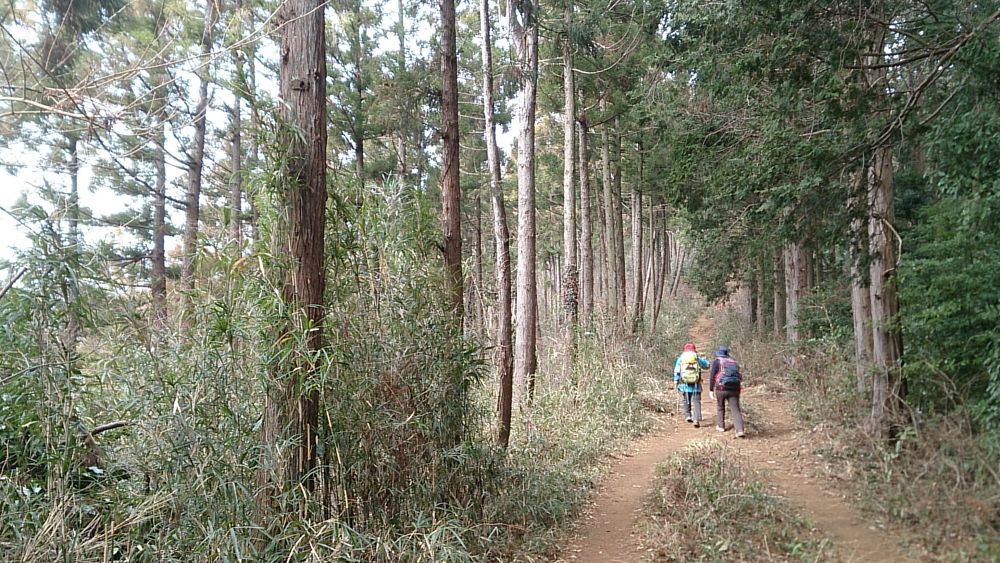 城山湖～陣馬山ピストン36Kの写真6