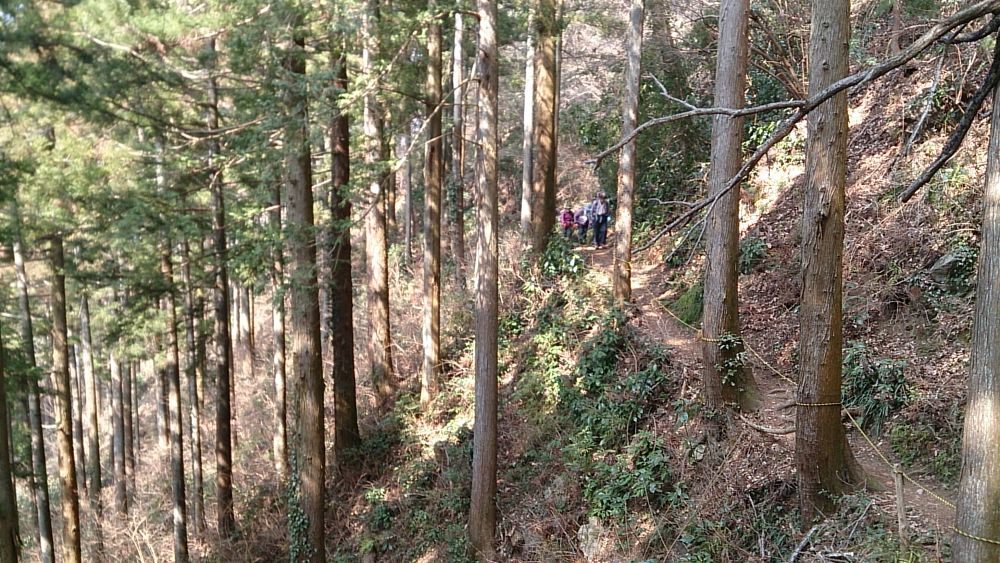 城山湖～陣馬山ピストン36Kの写真7