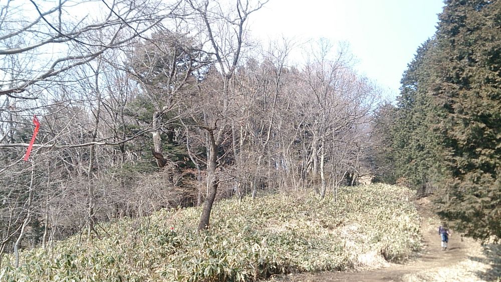 城山湖～陣馬山ピストン36Kの写真15