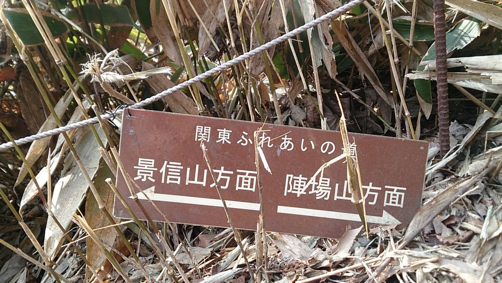 城山湖～陣馬山ピストン36Kの写真16