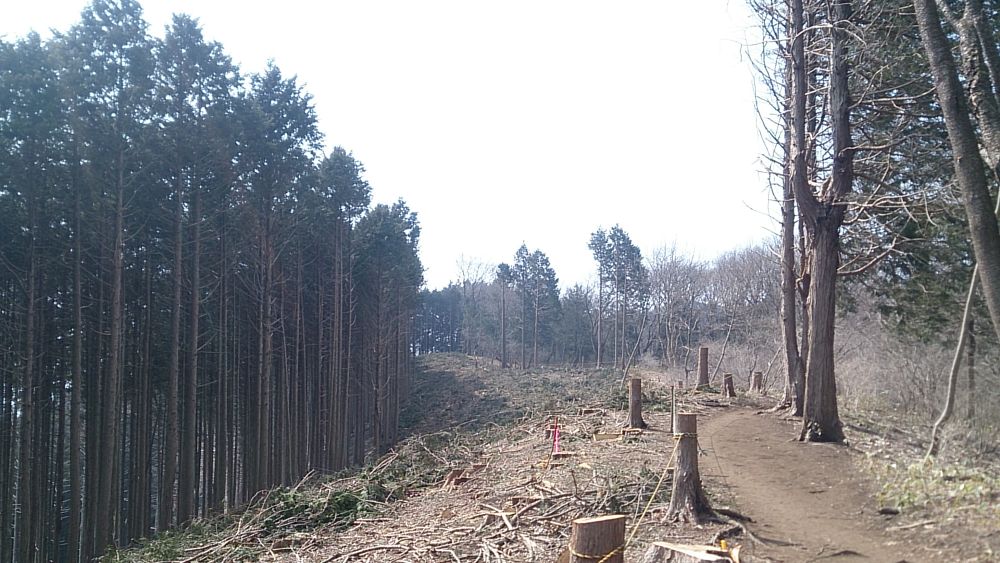 城山湖～陣馬山ピストン36Kの写真17