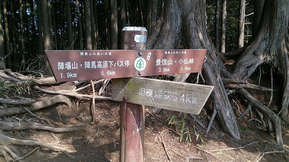 城山湖～陣馬山ピストン36Kの写真19