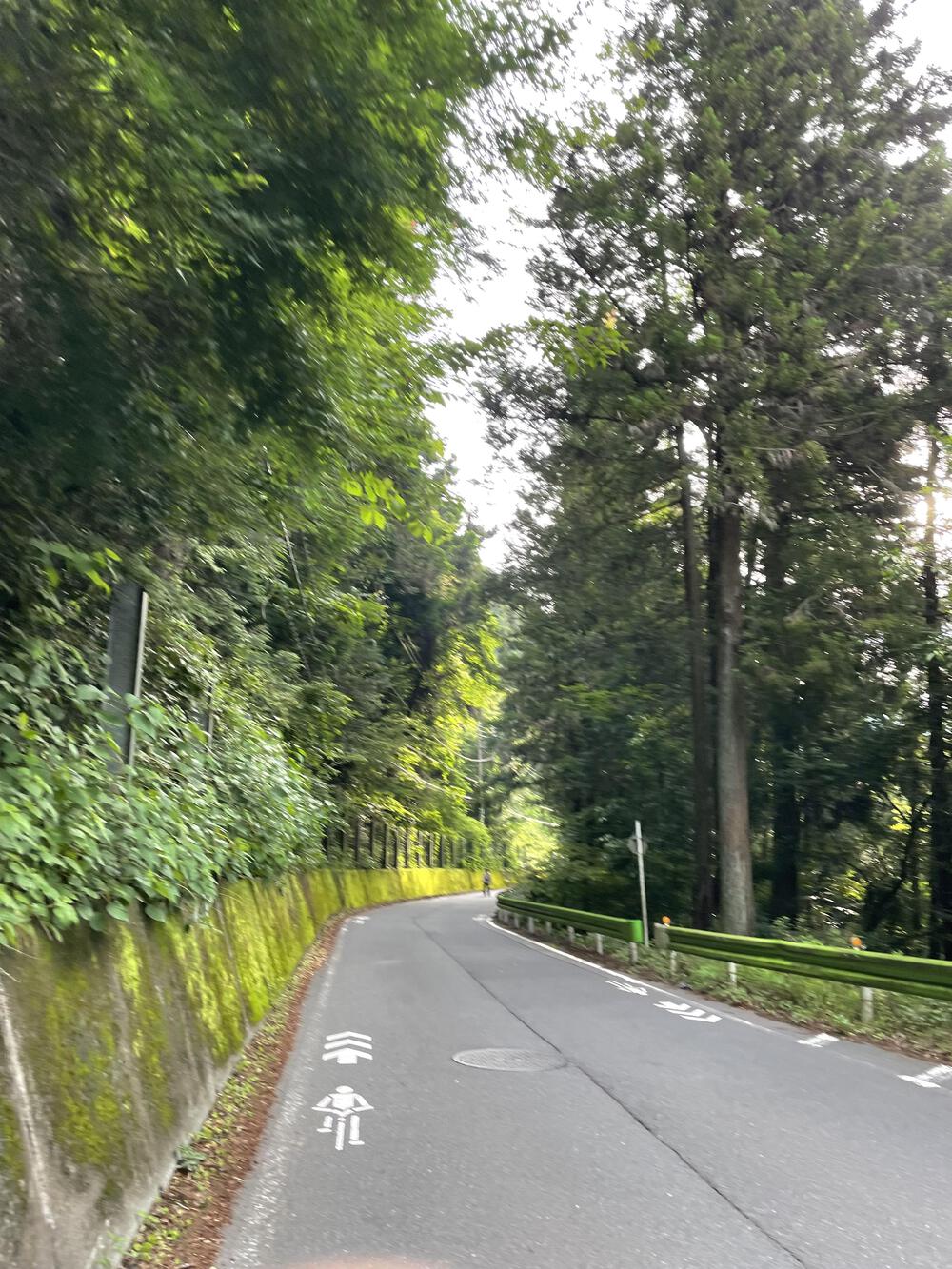 川のせせらぎを感じながら走る夕やけ小やけからのtrip runの写真6