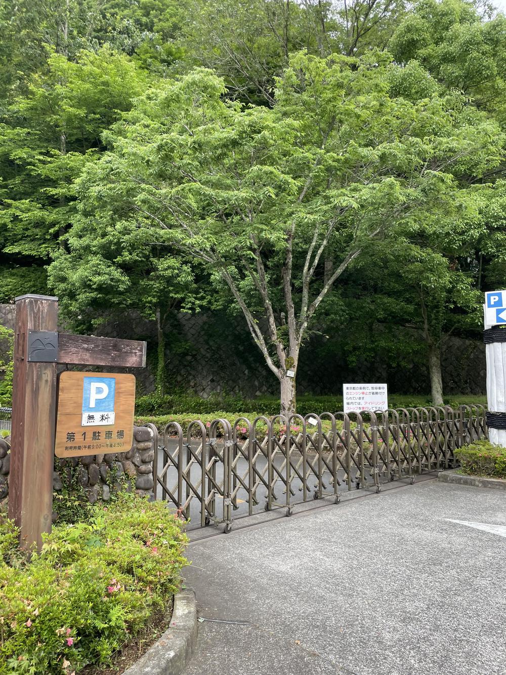 川のせせらぎを感じながら走る夕やけ小やけからのtrip runの写真8