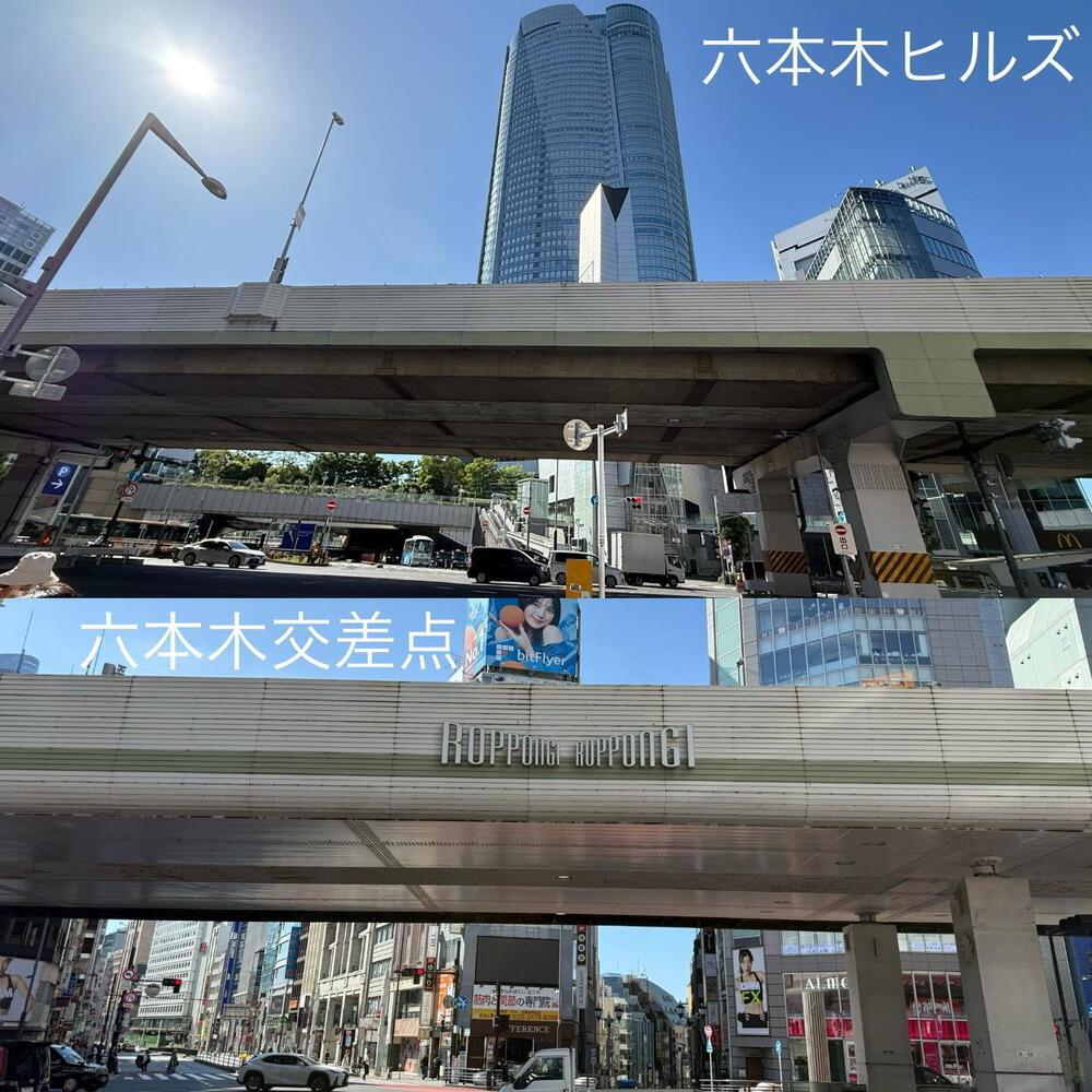 新宿御苑〜六本木 周回10kmの写真4