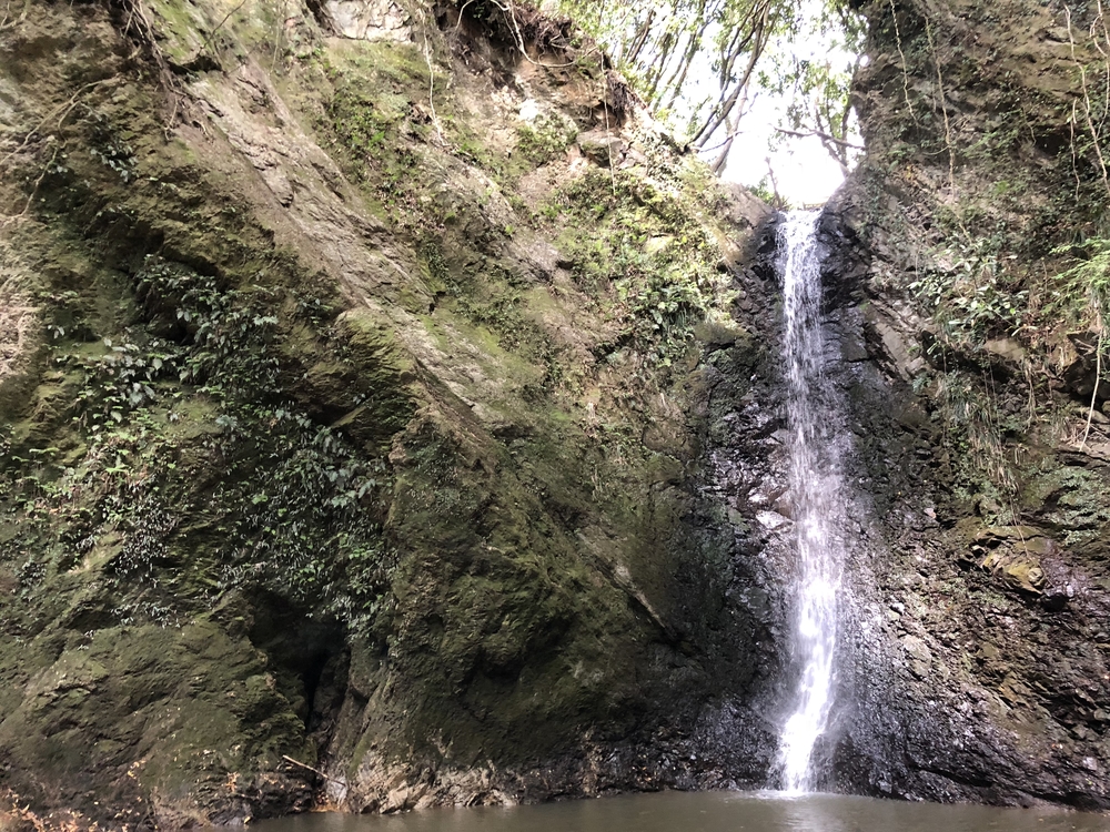 花嫁から花婿へ。の写真3