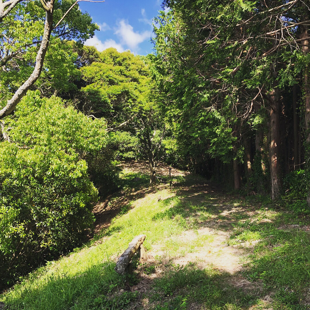 花嫁から花婿へ。の写真5