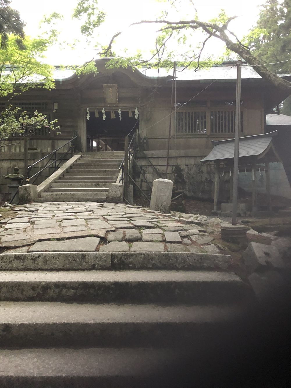 清滝のバス停から愛宕山神社本殿経由して水尾、保津峡駅の写真5