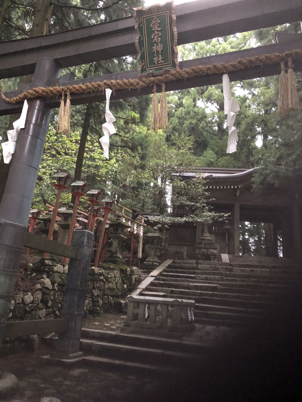 清滝のバス停から愛宕山神社本殿経由して水尾、保津峡駅の写真7