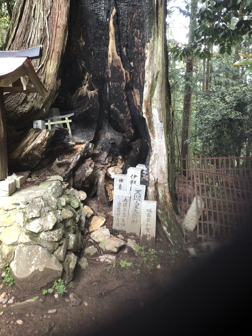 清滝のバス停から愛宕山神社本殿経由して水尾、保津峡駅の写真18