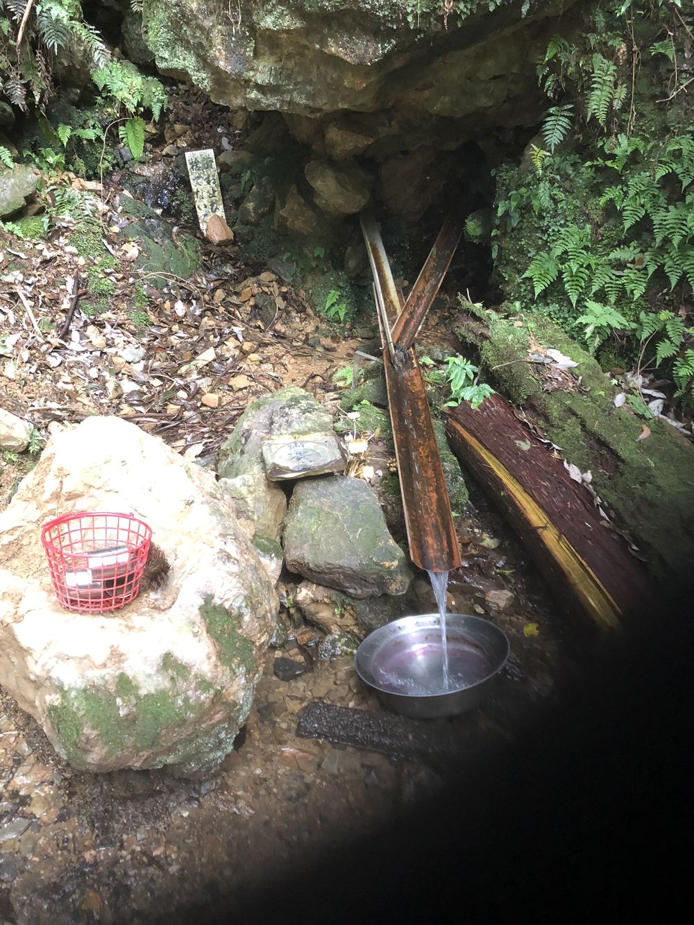 清滝のバス停から愛宕山神社本殿経由して水尾、保津峡駅の写真20
