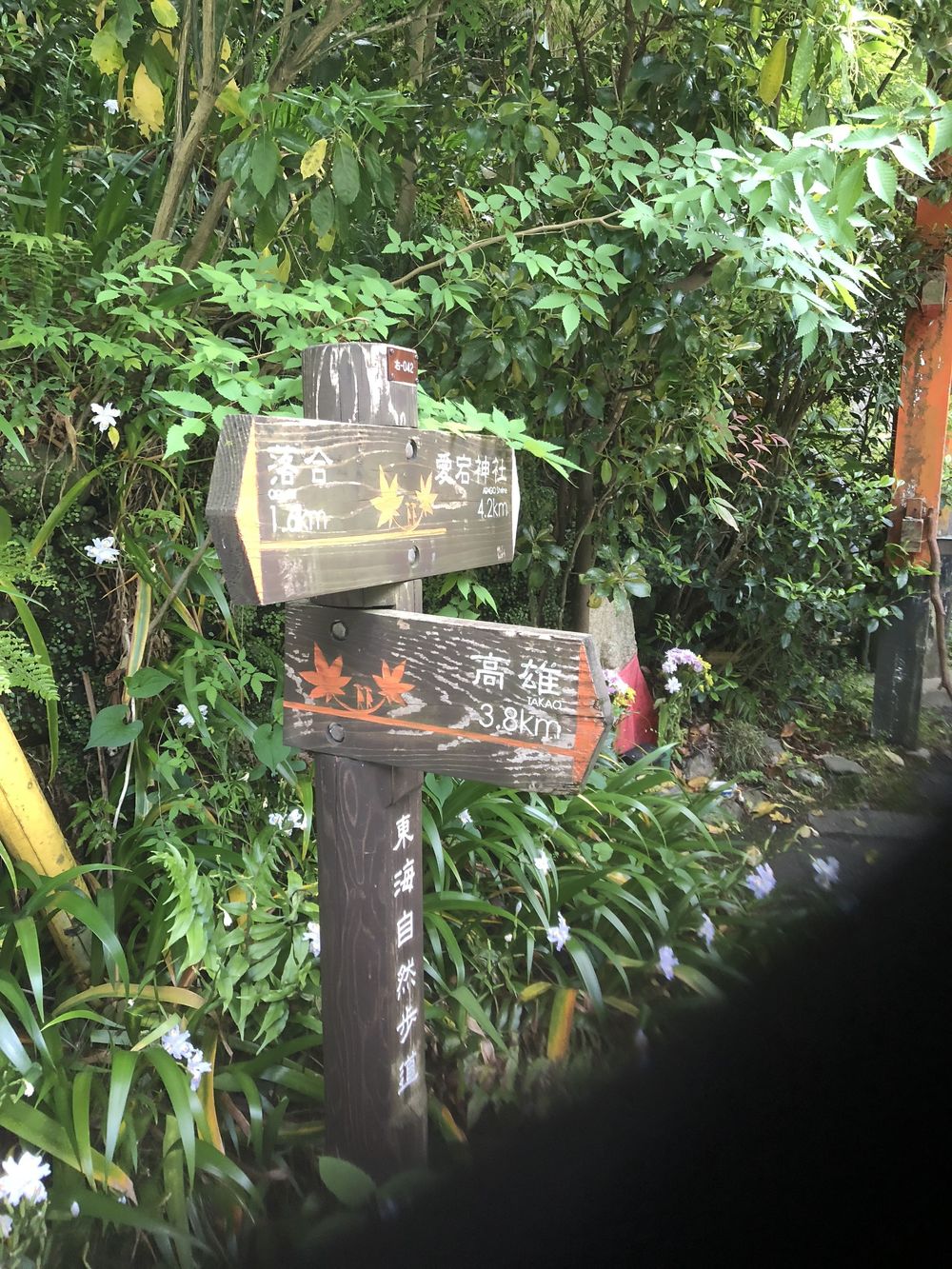 清滝のバス停から愛宕山神社本殿経由して水尾、保津峡駅の写真21