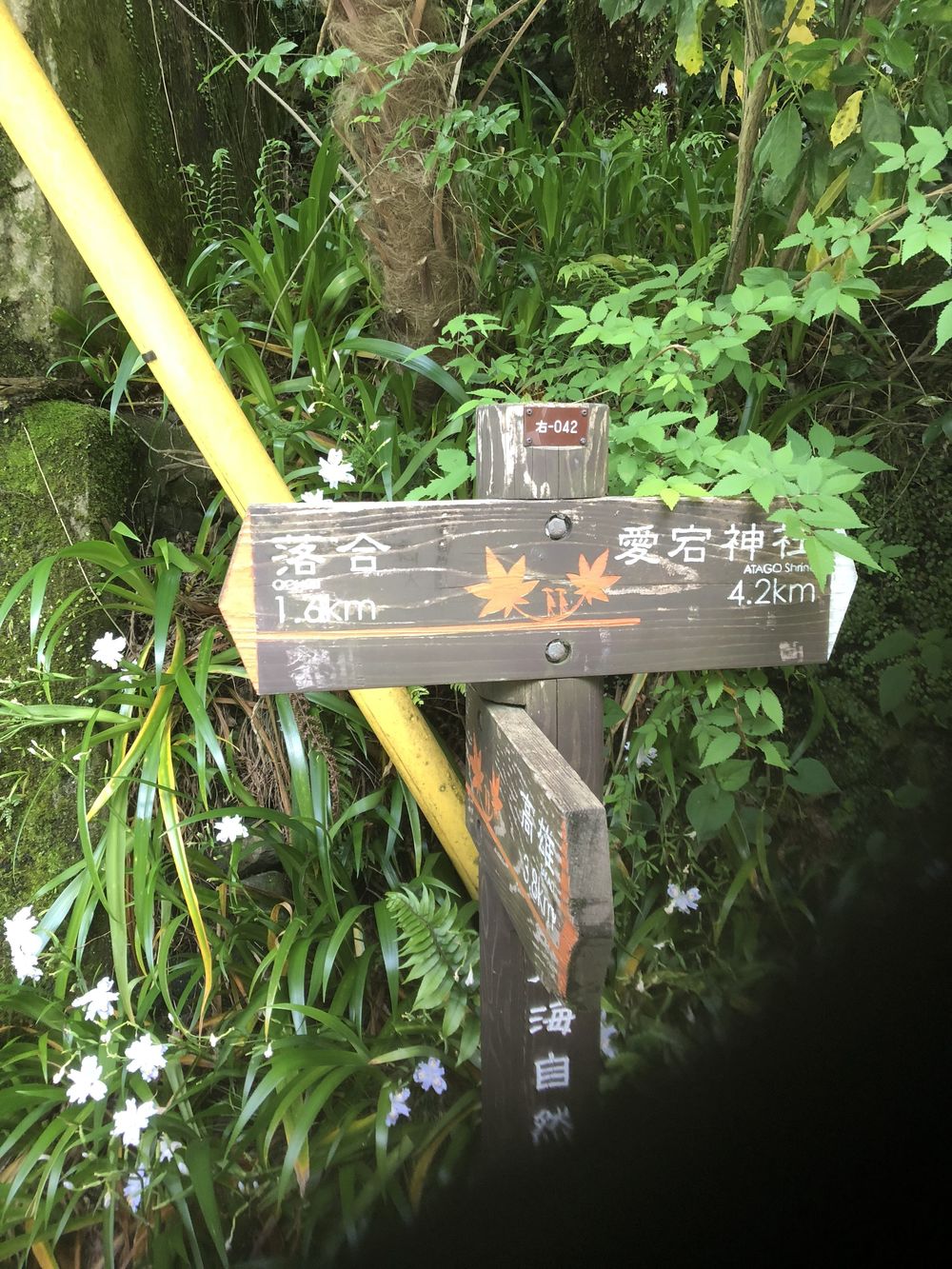 清滝のバス停から愛宕山神社本殿経由して水尾、保津峡駅の写真22
