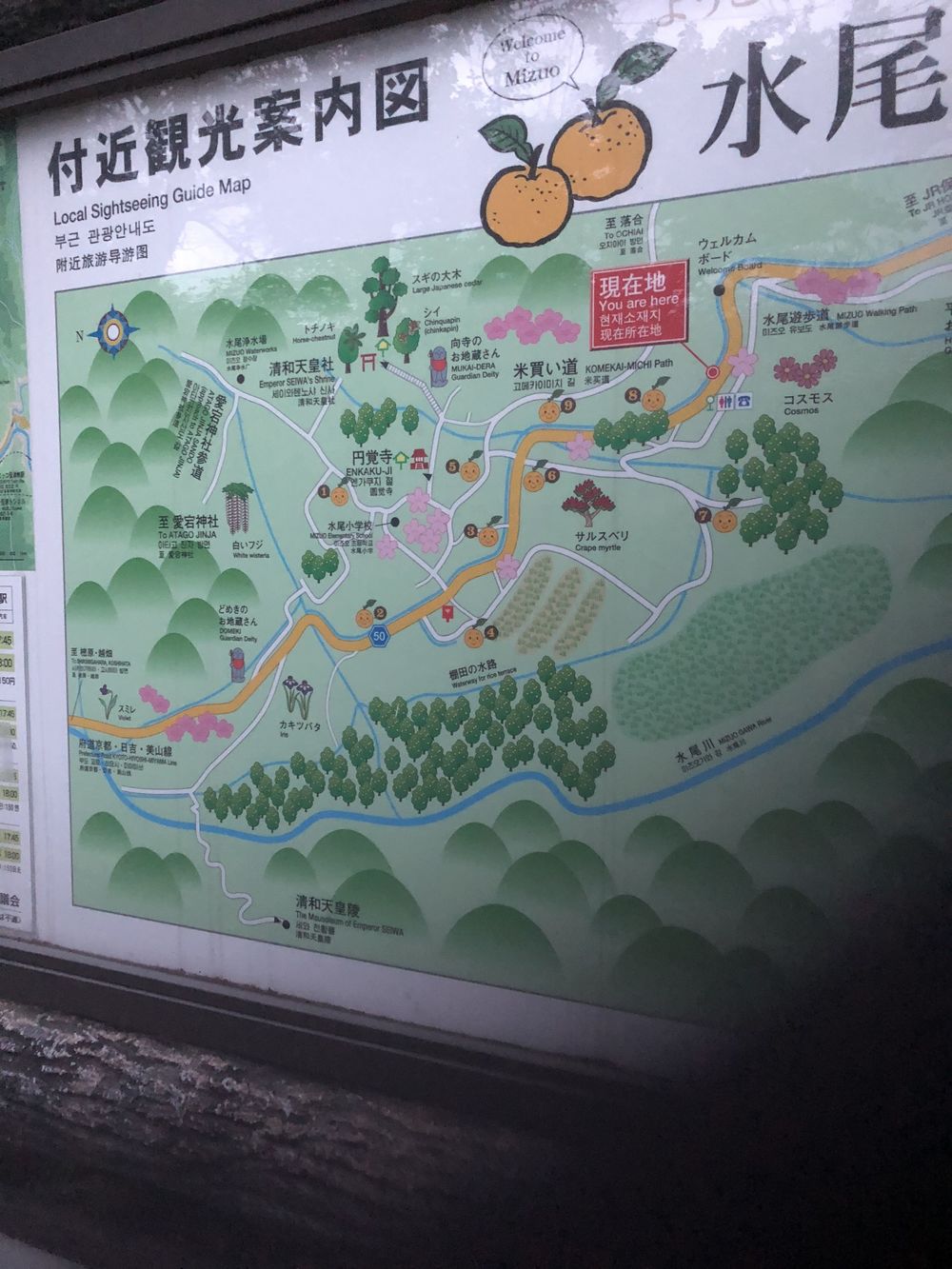 清滝のバス停から愛宕山神社本殿経由して水尾、保津峡駅の写真28