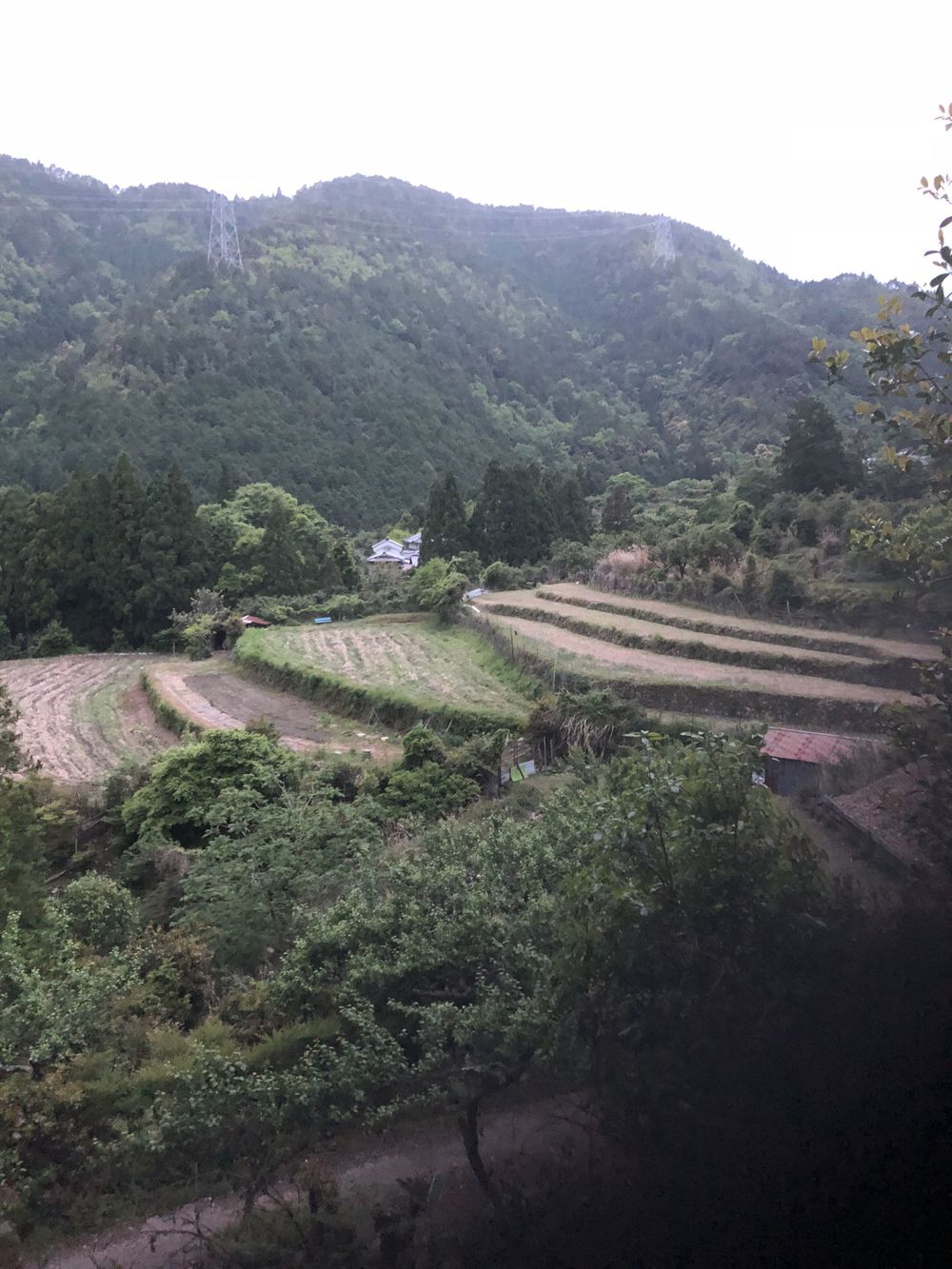 清滝のバス停から愛宕山神社本殿経由して水尾、保津峡駅の写真31