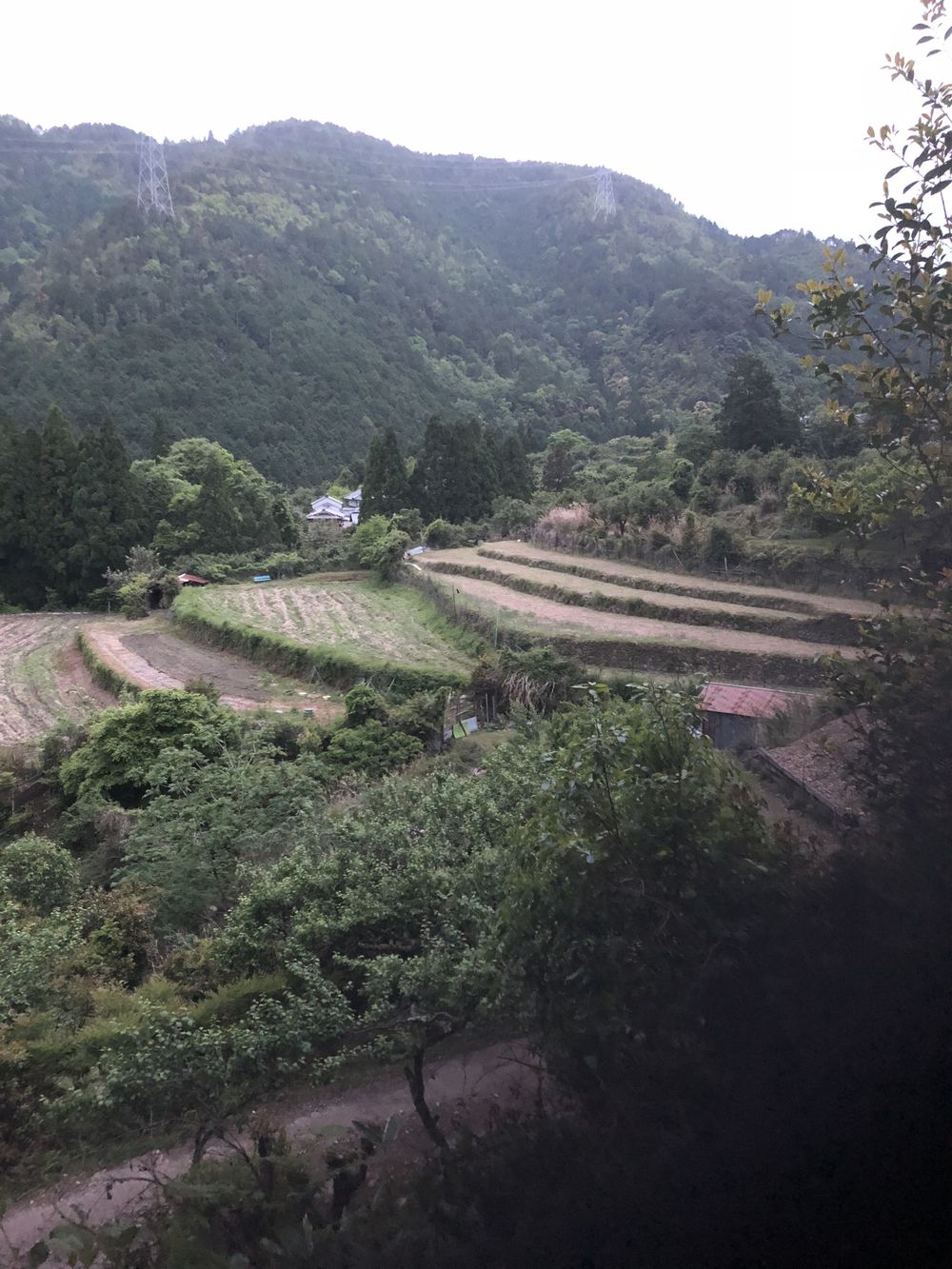 清滝のバス停から愛宕山神社本殿経由して水尾、保津峡駅の写真32