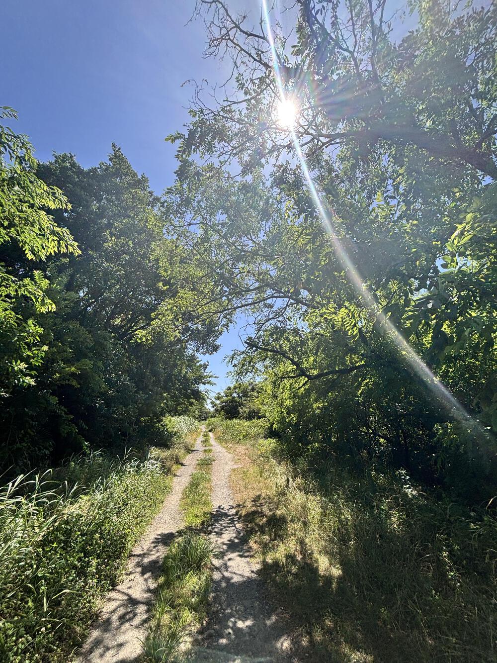 二子玉川から登戸周回コースの写真6