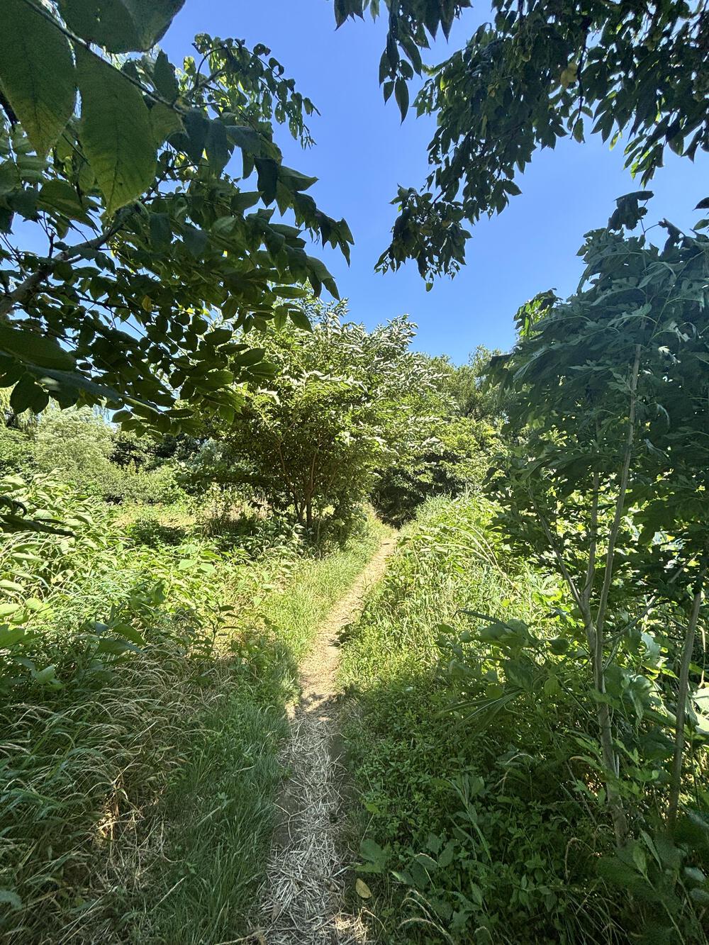 二子玉川から登戸周回コースの写真8