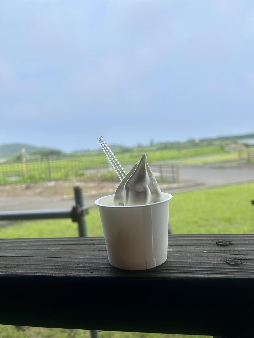 伊豆大島　ソフトクリームをご褒美に！の写真3