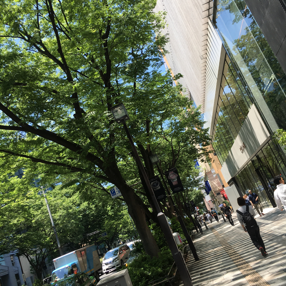 表参道駅から青山、代々木公園を街Run&カフェランチの写真3