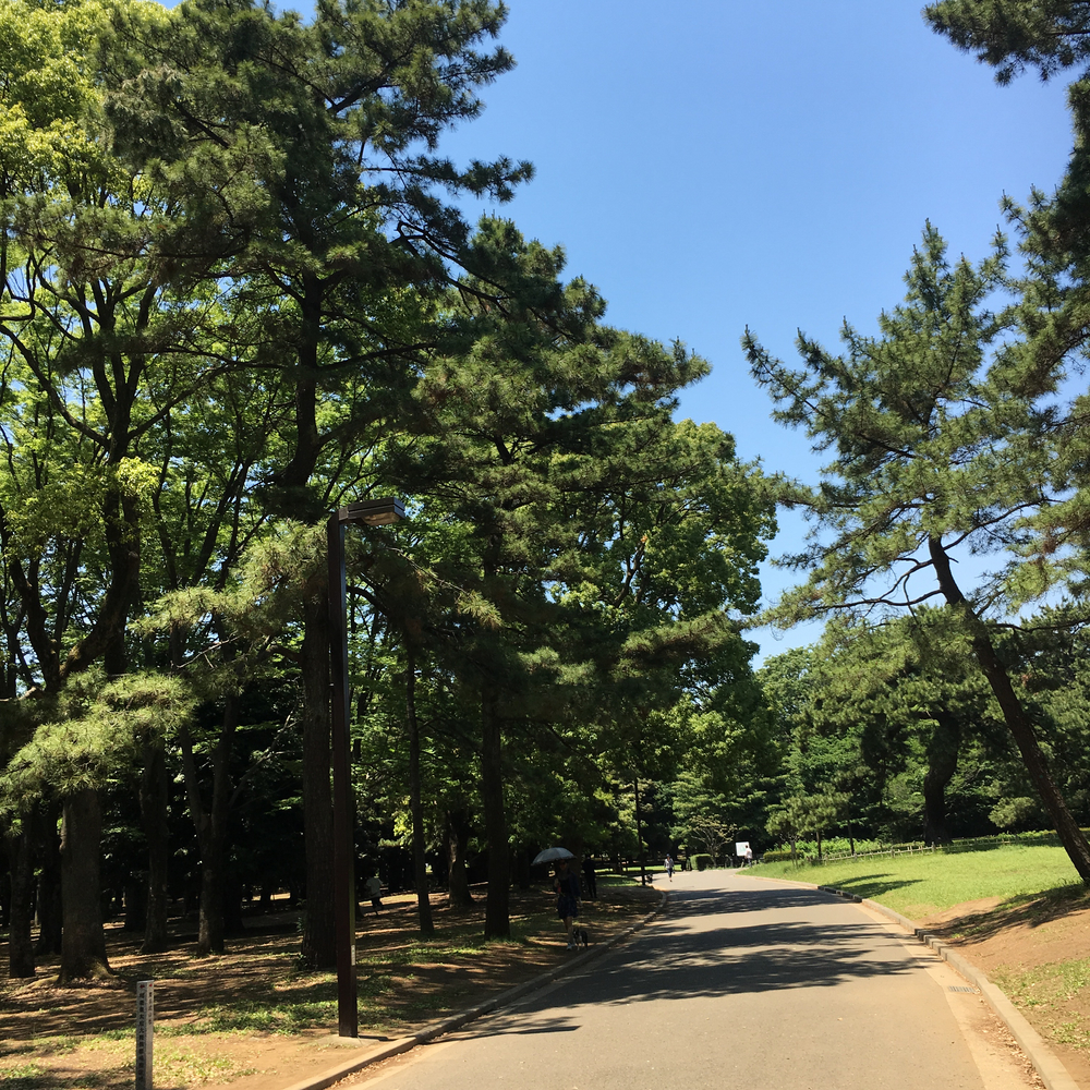 表参道駅から青山、代々木公園を街Run&カフェランチの写真4