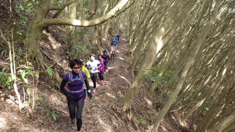 南房総の隠れた極上トレイル！花嫁街道12kmの写真3