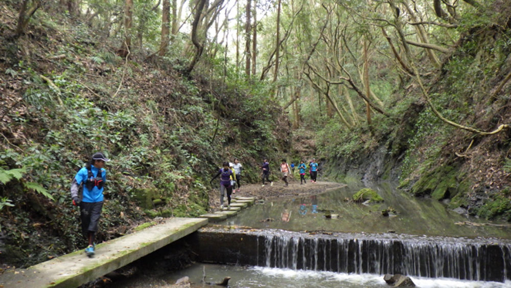 南房総の隠れた極上トレイル！花嫁街道12kmの写真4