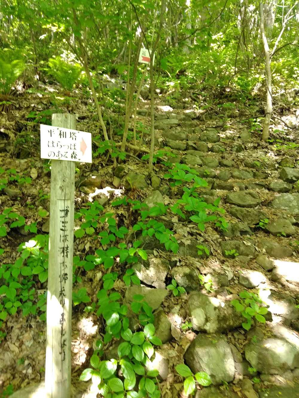 すすきの発着！市内巡回～札幌平和塔　　　　の写真8