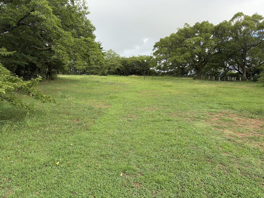 徳島駅近！城跡史跡を巡る旅ランの写真3