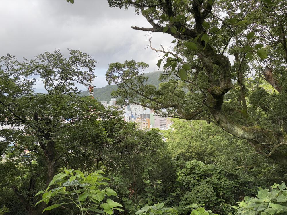 徳島駅近！城跡史跡を巡る旅ランの写真4