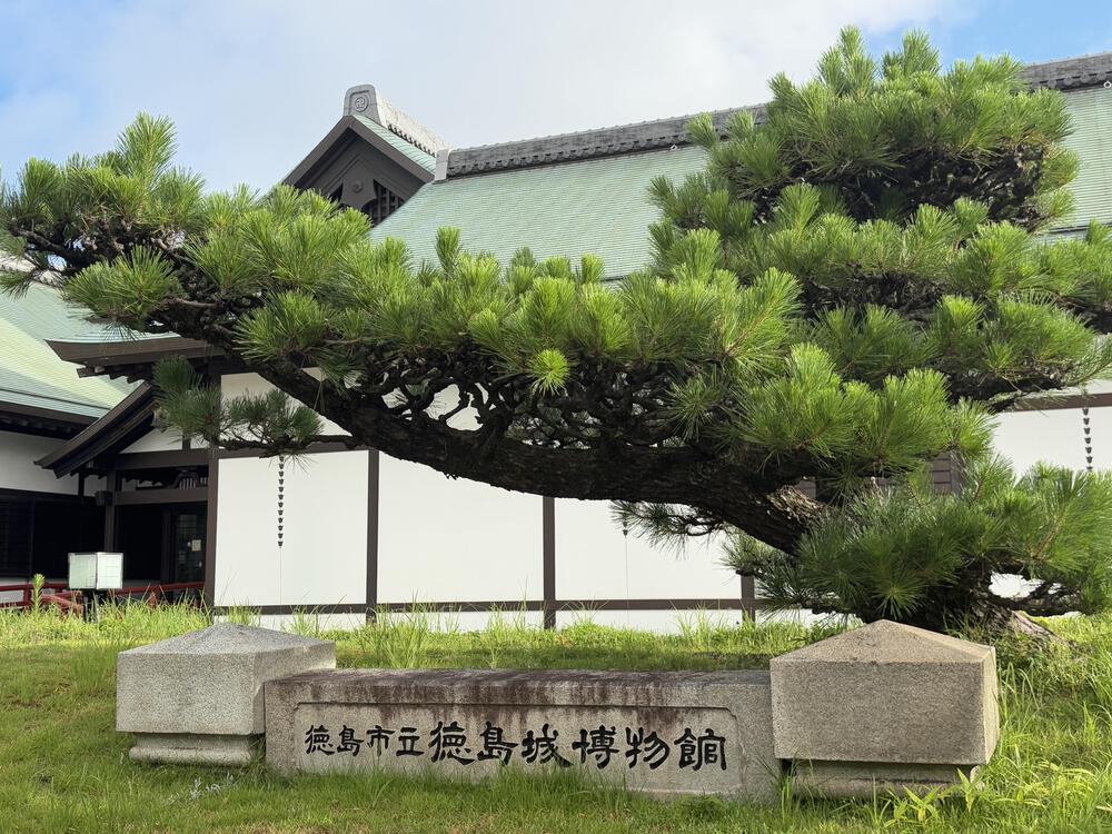 徳島駅近！城跡史跡を巡る旅ランの写真7