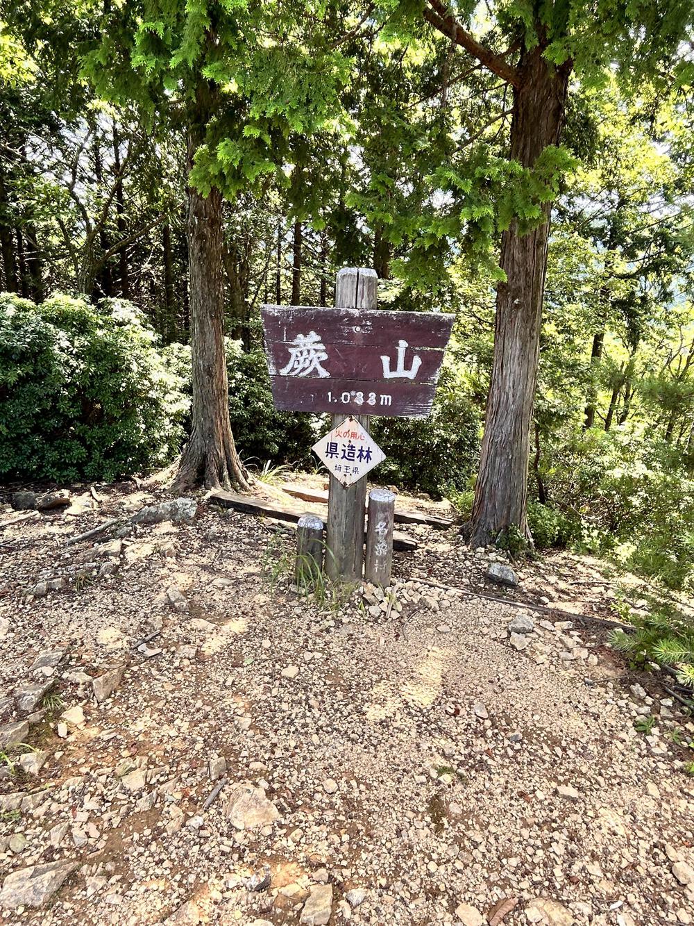 夏の飯能満喫トレラン⛰️の写真4