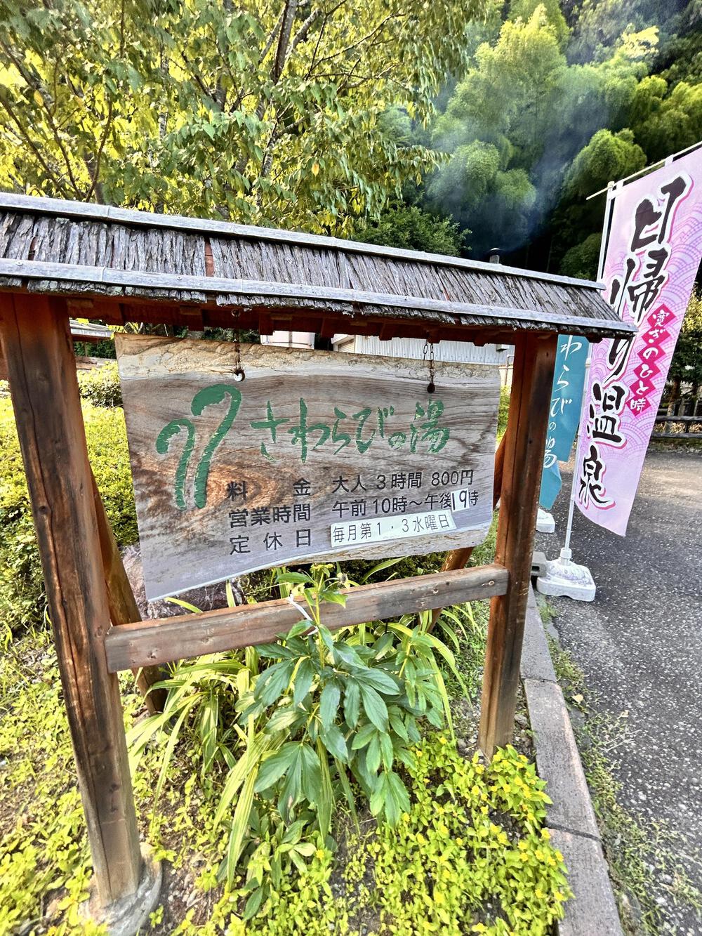 夏の飯能満喫トレラン⛰️の写真5