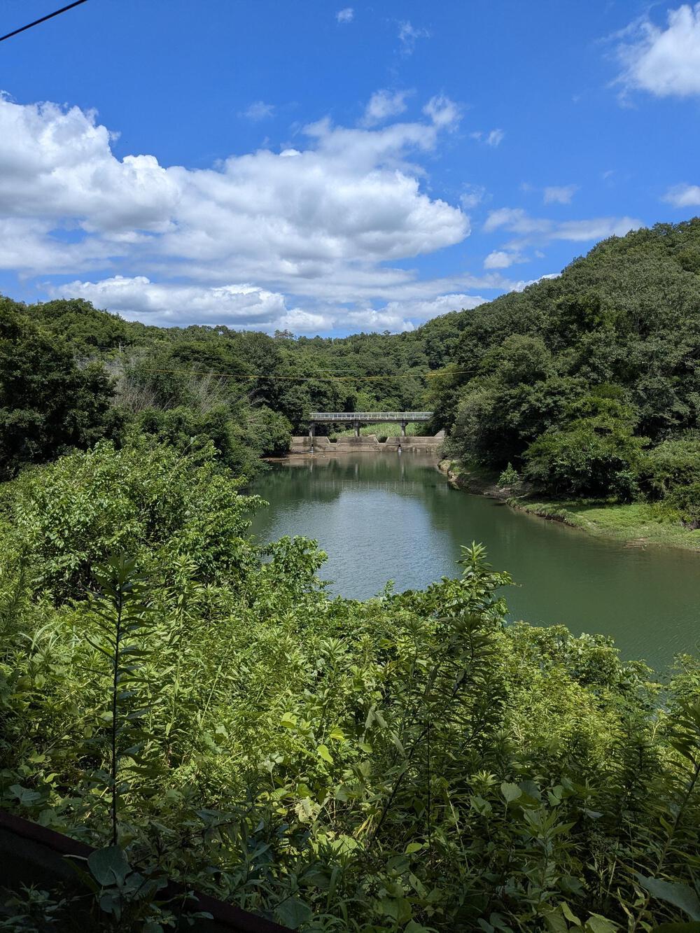 入鹿池の林道を八曽滝まで往復約10キロのコースの写真4