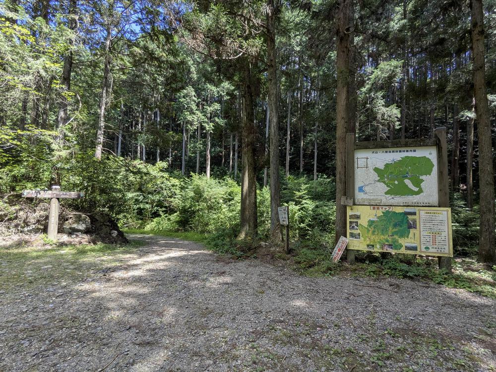 入鹿池の林道を八曽滝まで往復約10キロのコースの写真5