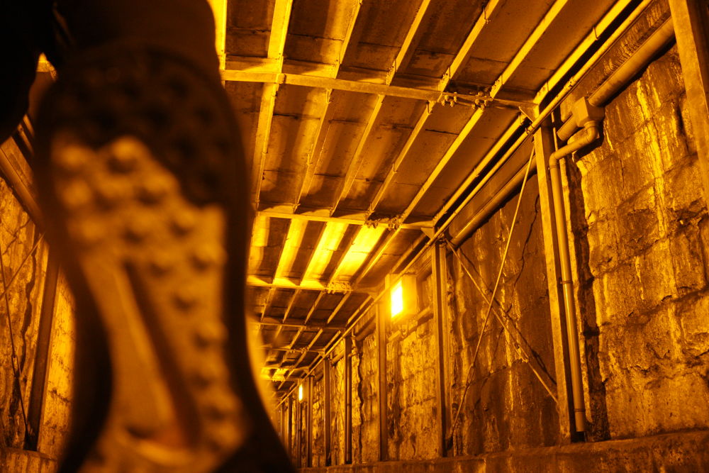 自分をさがす。大都会のナイトラン。の写真8