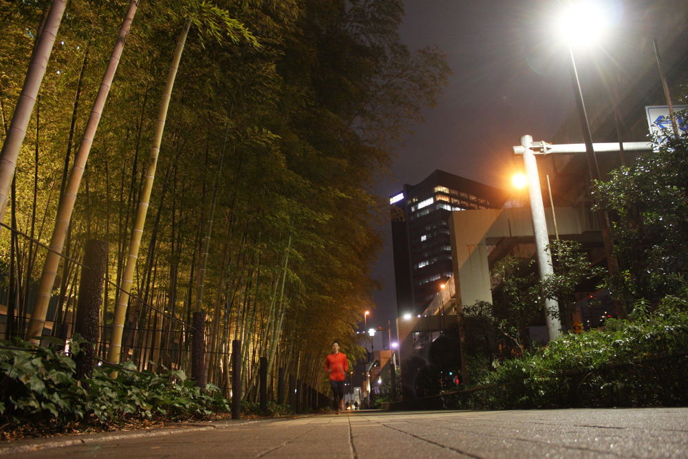 自分をさがす。大都会のナイトラン。の写真10